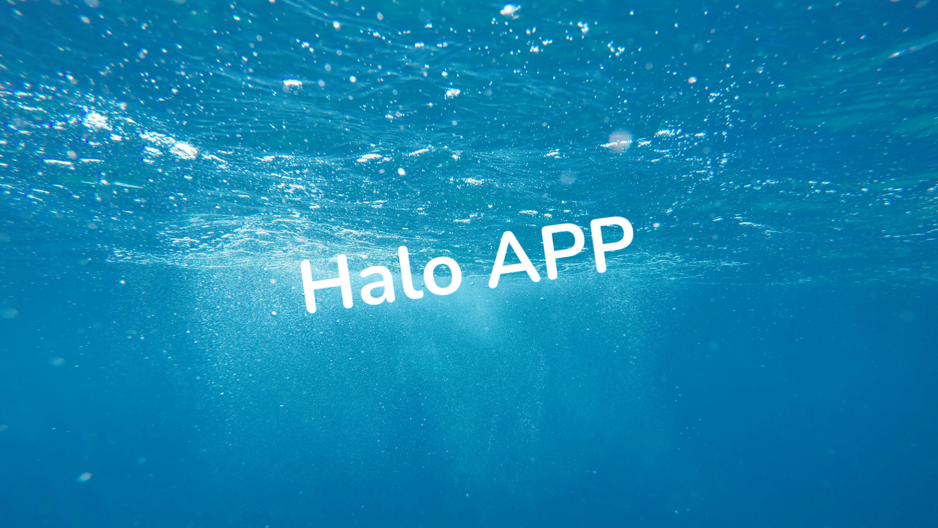 Halo APP 公测